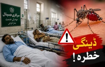 Khyber Pakhtunkhwa Reports 35 New Dengue Cases in One Week, Annual Total Reaches 250