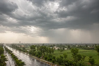 Punjab Braces For Rain, Strong Winds And Hailstorms As PDMA Issues Province-Wide Alert