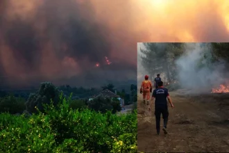 Turkey Evacuates Over 50,000 as Wildfires Devastate Izmir Province and Beyond